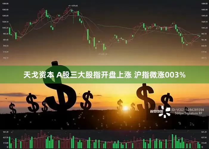 天戈资本 A股三大股指开盘上涨 沪指微涨003%